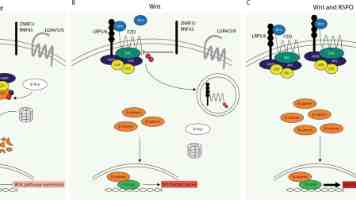 健全福利保障体系 增进困境儿童福祉