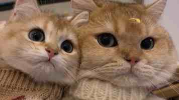 郭广生：加强交叉学科建设 深度服务教育强国战略