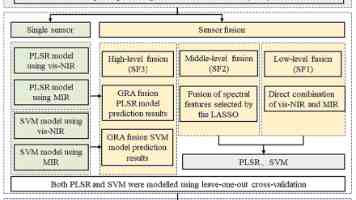 五月丁香在线｜新手指南：注册、浏览与会员权益解析