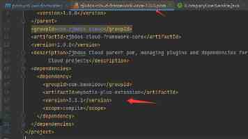 迷彩身影守护“国宝”家园