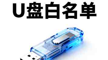 日皮工艺入门：从植鞣革到手工皮具制作全记录