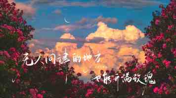 陈美娇和七个精神小伙：贴吧神帖背后的网络梗解析